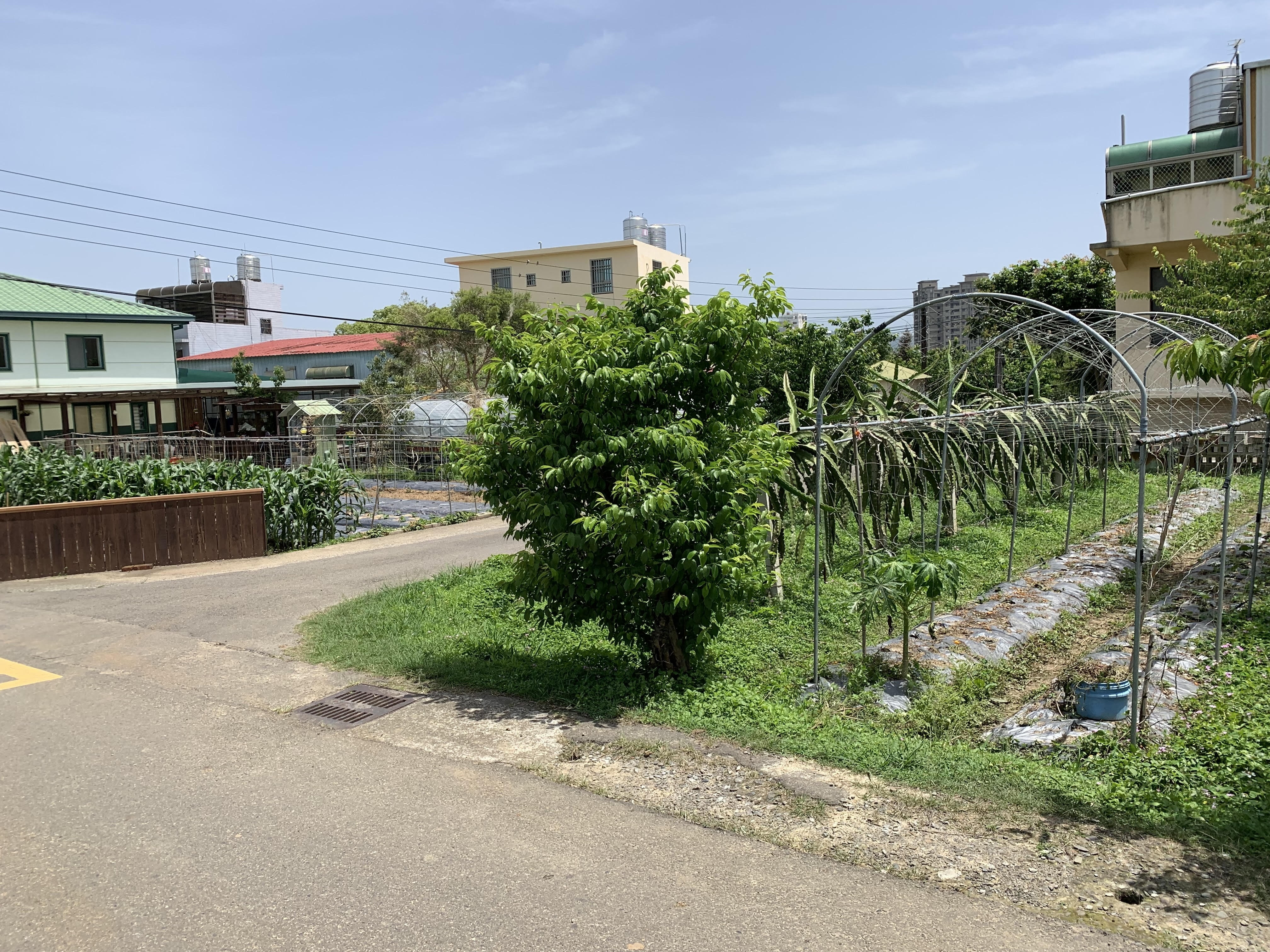 圖1 鄰近科學園區的農村聚落 (照片來源：林文一 攝)